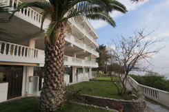 Apollon Hotel Apartments Messinia / Apollon Ενοικιαζόμενα Διαμερίσματα Μεσσηνία