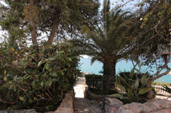 Apollon Hotel Apartments Messinia / Apollon Ενοικιαζόμενα Διαμερίσματα Μεσσηνία