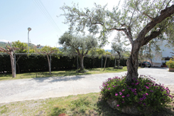 Apollon Hotel Apartments Messinia / Apollon Ενοικιαζόμενα Διαμερίσματα Μεσσηνία